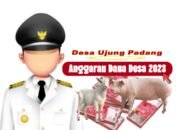 Dana Desa Tahun 2023 Untuk Ternak Raib, Kambing dan Babi di Desa Ujung Padang Hilang Misterius.