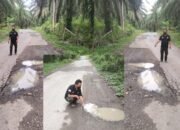 PT. Ayu Septa Perdana Diduga Tidak Bertanggung Jawab Atas Pekerjaan Pengupasan Jalan Lintas Labura-Parsoburan.