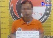 Untuk Kesekian kali, Sat Narkoba Polres Pelabuhan Belawan Tangkap Pengedar Narkoba di Komplek UKA Kelurahan Terjun