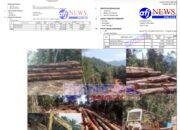 BRNR Labura Akan Surati BPK RI Perwakilan Sumut Agar Segera Periksa PT. AMS dan PT.SSI Terkait Pembayaran PSDH Kayu.