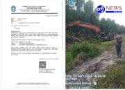 Diduga Jual Hutan Bakau ke Warga, Oknum Kades Kubu Raup Rp1,2 Miliar