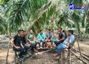 Koramil 12/LP dan Anggota Brimob Hadiri Diskusi Terkait Maraknya Pencurian Sawit di Dusun Tanjung Marulak