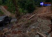Luarbiasa Kehadiran GAKKUM LHK ke Hutan Hajoran Diduga Sudah Disetting Dengan Sutradara Mafia Loging