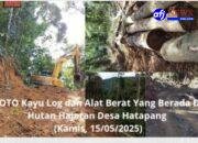 Seruan Tegas : Basmi Ilegal Loging Dan Perambahan Hutan Hajoran Di Bukit Barisan – Labura, Penjarakan Pelakunya