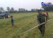 Babinsa Koramil 09/NL, Ajak Remaja Jauhi Narkoba Lewat Gotong Royong