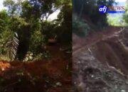 LMR RI Labura Desak Penindakan Ilegal Loging di Hutan Hajoran : Kerugian Negara Akibat Penggelapan Pajak Mencapai Milyaran Rupiah.