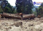 “Mafia Kayu” Berjasa Bangun Akses Jalan di Hutan Lindung Hajoran, LMR RI Desak Bupati dan DPRD Labura Tentukan Status Jalan.