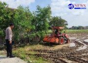 Polsek Kronjo Siap Dukung Program Ketahanan Pangan Nasional dengan Penanaman Jagung Serentak