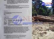 Diduga Surat Laporan Amman Munthe ke Kadis LHK Sumut Jadi Dalih Untuk Bertemu Terduga Mafia Kayu di Hutan Hajoran.