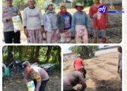 Bhabinkamtibmas Kota Bangun Beri Pendampingan Warga Tanam Jagung, Dukung Ketahanan Pangan