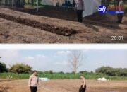 Kapolsek Tigaraksa Tinjau Lahan Penanaman Jagung Hibrida di Desa Pematang: Dukung Swasembada Pangan Kuartal III