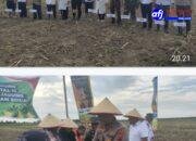 Wakapolres Belawan Bersama Muspika Hamparan Perak Gelar Vidcom Ketahanan Pangan dan Tanam Jagung Serentak di Kelambir V Kebun