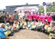 Bupati Aceh Tenggara bersama Kapolres Aceh Tenggara membagikan beras geratis dari beras SPHP kepada kelompok tani,