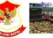 Dipertanyakan: ‎Kapal KM. M. AGUNG JAYA. 02 Diduga Tidak Memiliki Persyaratan Angkut Kapal Melon “Gas Subsidi LPG 3 Kg”