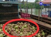 Kapal KM. M. AGUNG JAYA 02 Diduga Angkut Ribuan Tabung LPG Ilegal, Penegak Hukum Diminta Bertindak