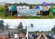 Danramil Legok dan Muspika Tanam Jagung Bareng Warga, Dukung Ketahanan Pangan