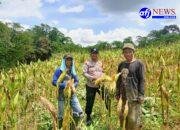 Polsek Panongan Galakkan Ketahanan Pangan Bersama Warga Desa Ranca Iyuh