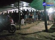 ‎Judi Sabung Ayam Masih Marak, Diduga Oknum Penegak Hukum Beri Lampu Hijau .