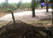 Kegiatan PETI Merusak Lingkungan di Desa Padang Kelapo, RT 05, Kecamatan Maro Sebo Ulu, Kabupaten Batang Hari, Jambi.