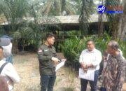 Beriman Panjaitan, SH.MH Mendampingi Tuimin “Mertua Tergugat” Menantu Dalam Agenda Sidang Pemeriksaan Setempat