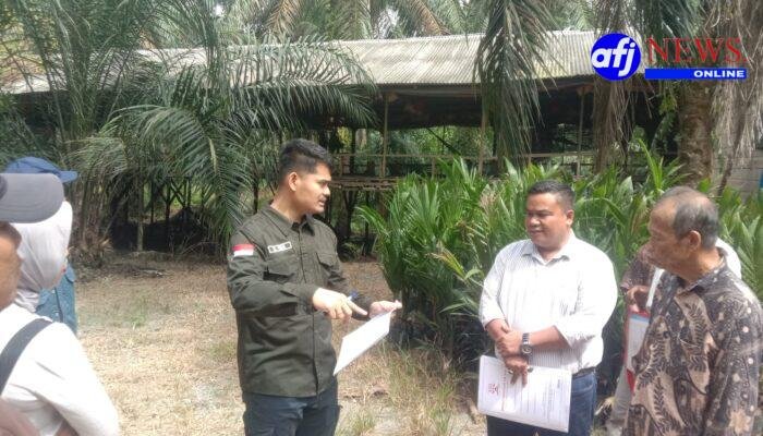 Beriman Panjaitan, SH.MH Mendampingi Tuimin “Mertua Tergugat” Menantu Dalam Agenda Sidang Pemeriksaan Setempat
