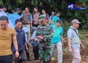 Cibungbulang Gerakan Tanam Ratusan Pohon Bersama Dinas PU, Dukung Program Hutan Kota Bupati Bogor