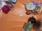 Program Makanan Bergizi Gratis di Aek Natas Labura Menuai Kritikan: Menu Tak Seimbang dan Diduga Tidak Sesuai SOP.