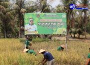Implementasi Program Presiden Prabowo Subianto, Lapas Rantauprapat Sukses Panen Padi di Lahan Produktif