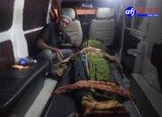 Diduga Masuk Pekarangan untuk Ambil Buah, Pria di Medan Labuhan Tewas Dianiaya Pemilik Rumah