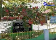 Dugaan Pungutan Biaya Ijazah di SD Negeri 116261 Bulungihit, Dana BOS Dipertanyakan.