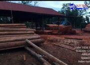 Warga Soroti Lemahnya Penegakan Hukum Kehutanan di Kalimantan Barat “Masa Negara Kalah dengan Seorang Pembalak Hutan?”