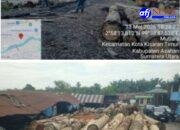 Menelusuri Jejak Hitam ‘Kayu Haram’ Labura : Mengapa Ribuan Kayu Log Tanpa Legalitas Bisa Lolos ke Industri Asahan?