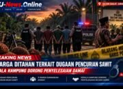 Lima Warga Sultan Daulat Ditahan Terkait Dugaan Pencurian Sawit, Kepala Kampung Dorong Penyelesaian Damai