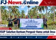 Hadapi Gangguan Hama di Kebun Warga, PT RSUP Salurkan Alat Pengusir Hama dan Bibit Nanas untuk Desa Mitra