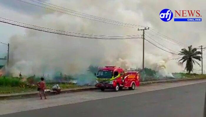 Kebakaran Lahan Milik Pelindo di Gabion Belawan, Dugaan Pembakaran Kabel untuk Diambil Tembaganya Disorot