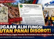 DUGAAN ALIH FUNGSI HUTAN LINDUNG PANAI MAKIN DISOROT! BERKAS DISERAHKAN KE LMR RI, BENI GINTING DESAK USUT PEMODAL HINGGA ALIRAN DANA